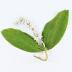 Boutonniere