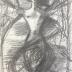 "Venus butterfly in the moonlight"