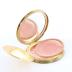 Compact powder