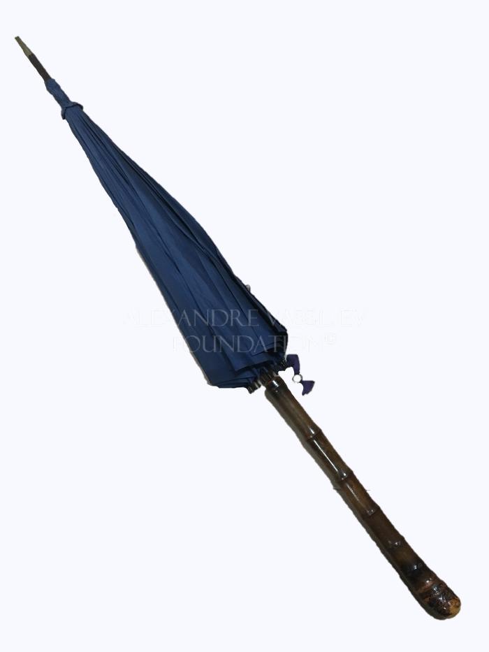 Umbrella