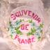 WWI Souvenir of France apron