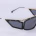 Sun glasses