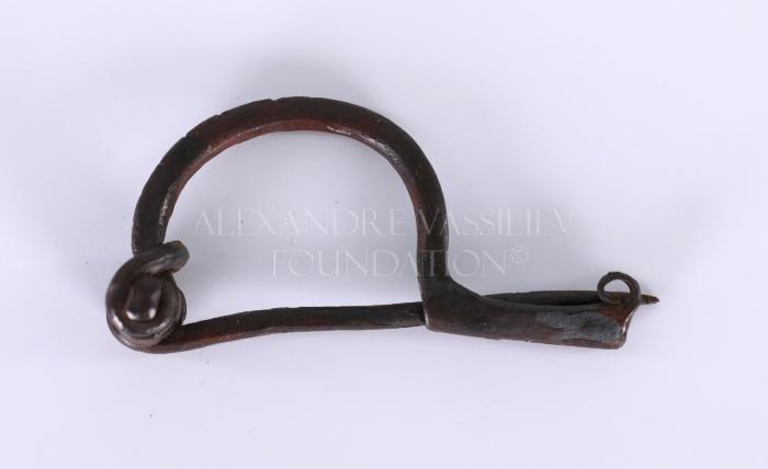 Fibula