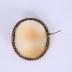 Cameo brooch